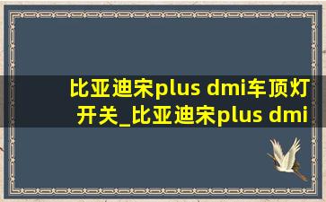 比亚迪宋plus dmi车顶灯开关_比亚迪宋plus dmi车顶行李架定制